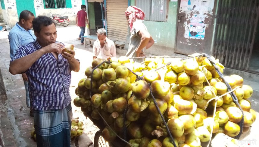 01 6 প্রচন্ড তাপদাহে একটু স্বস্তি পেতে বিক্রি বেড়েছে পানি তাল শাঁসের