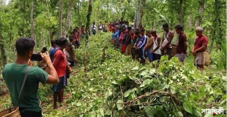 2 2 বড়লেখায় খাসিয়াদের পানজুম দখলের অপচেষ্টা ও চাঁদা দাবী