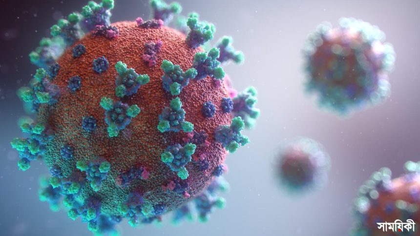 Visualization of the coronavirus causing COVID-19