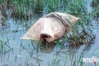 12 অবশেষে ধানক্ষেতে পাওয়া গেল বগুড়ার নাজনীনের বস্তা বন্দি লাশ