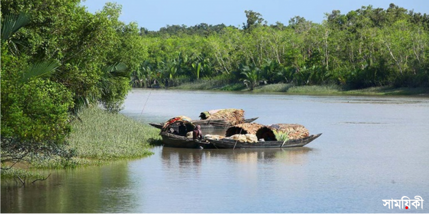 ss আগামী দুই মাস সুন্দরবনে মাছ ধরা নিষিদ্ধ