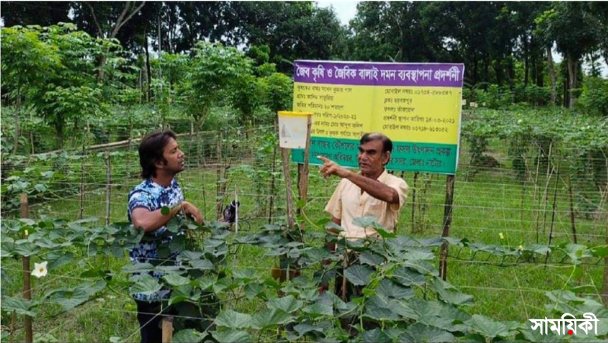 ল 2 নাটোরে উৎপাদন হবে ৩০ হাজার মেট্রিকটন নিরাপদ সবজি