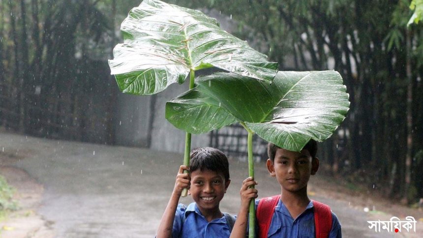 15 আলো অন্ধকারে যাই (পর্ব ১৫)