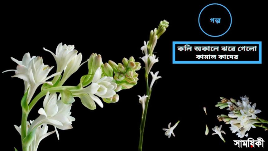 ক গল্প: কলি অকালে ঝরে গেলো