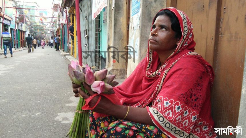 বুলু বেগম পদ্মফুল নেই পদ্মবিলে <br>পদ্মফুল বিক্রেতা বুলু বেগমের কষ্ট!