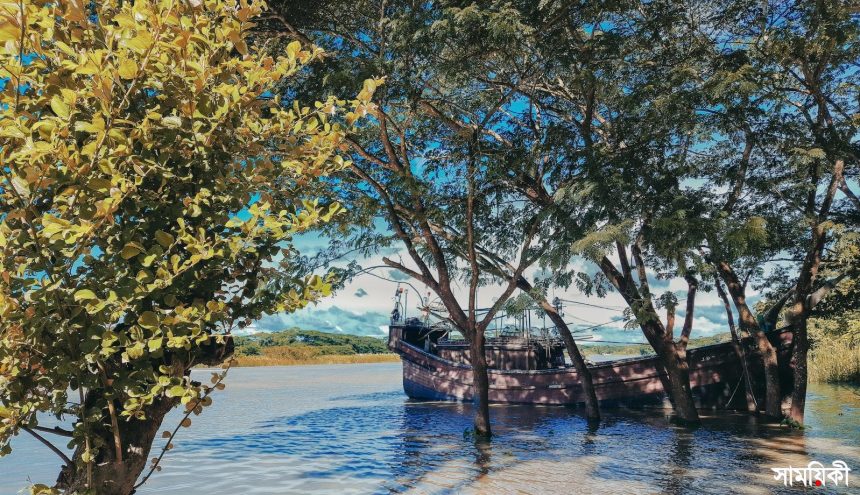 brown boat on lake near green trees during daytime