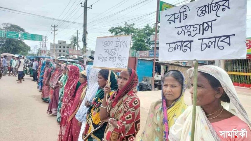 চা শ্রমিক চা-শ্রমিকদের বিষয়ে সমাধান আসছে না কেন?