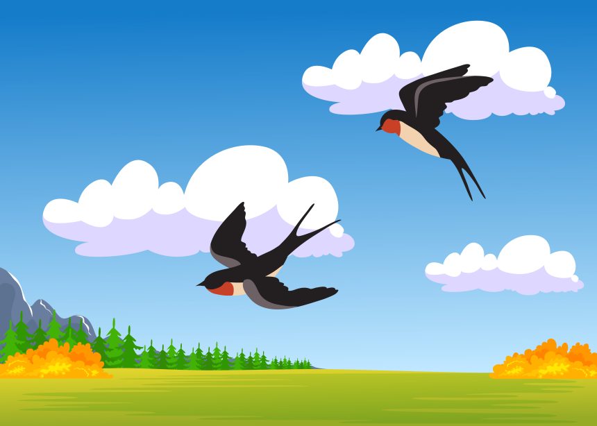 Two cartoon swallows flying over autumn field পালে হাওয়া দেওয়া নয়; প্রয়োজন স্রোতের বিপরীতে দাঁড়ানো